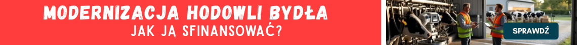 Jak sfinansować modernizację hodowli bydła mlecznego?