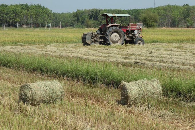 Produkcja rolna i wyzwania